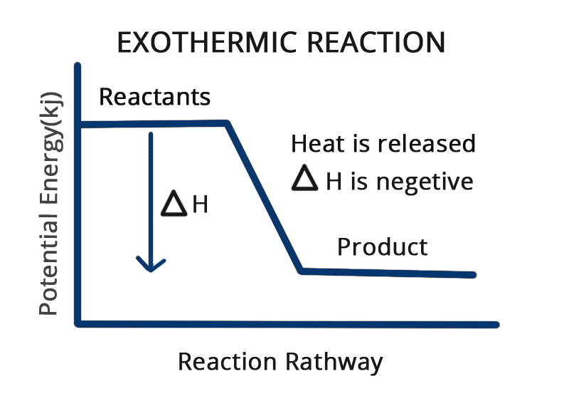 What are difference between exothermic and endothermic reactions? Definition, Types and
